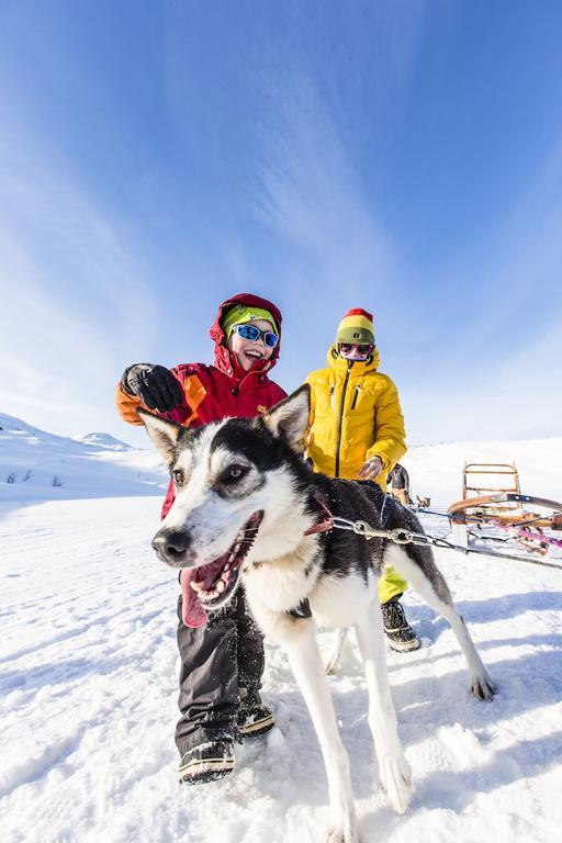 Hotell Fjaellet Bjorkliden  Bagian luar foto