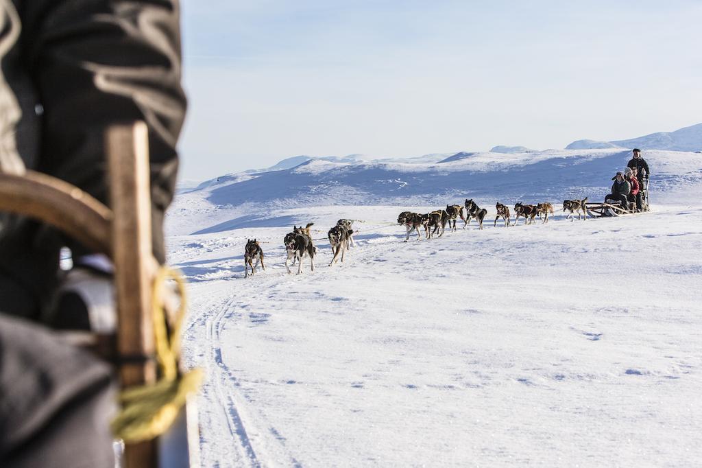 Hotell Fjaellet Bjorkliden  Bagian luar foto